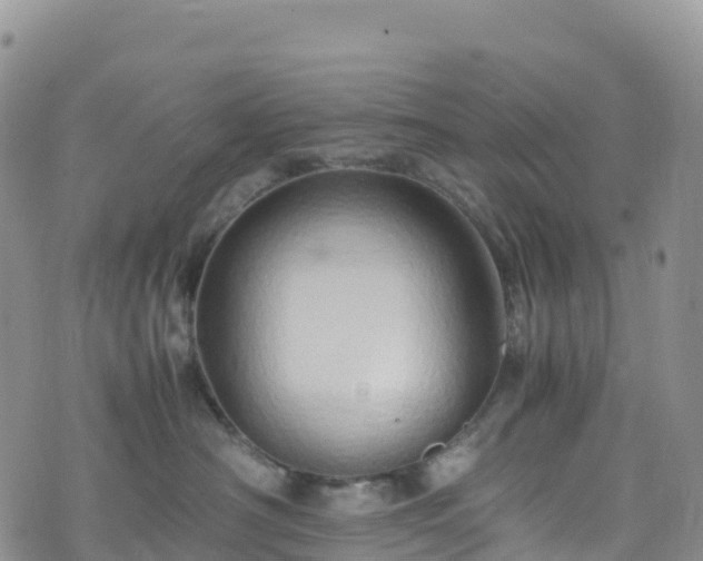 X0000074290430200609011412