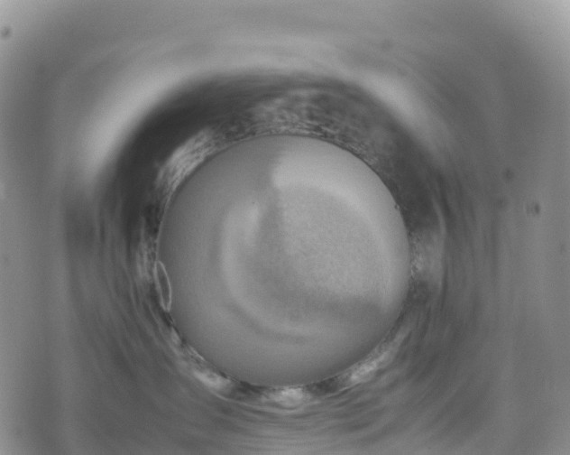 X0000074290431200609011412