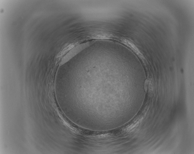 X0000074290433200609011411