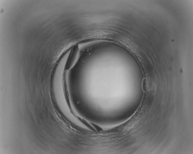 X0000074290434200609011411