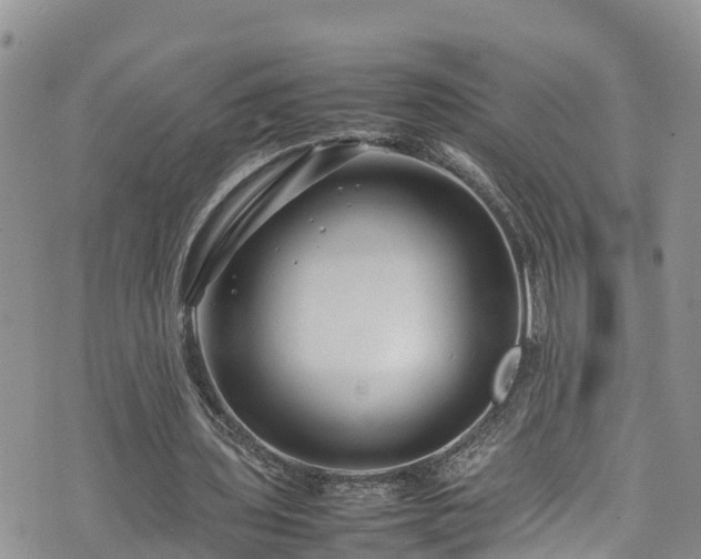 X0000074290435200609011411