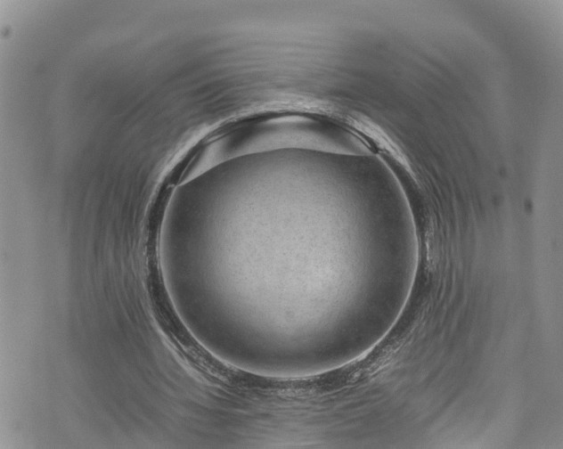 X0000074290436200609011411