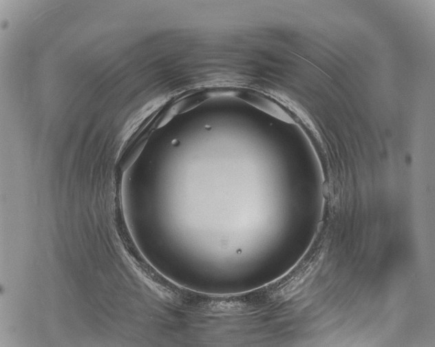 X0000074290437200609011411