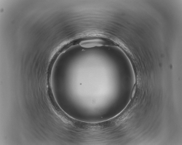 X0000074290438200609011411