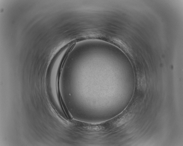 X0000074290439200609011411