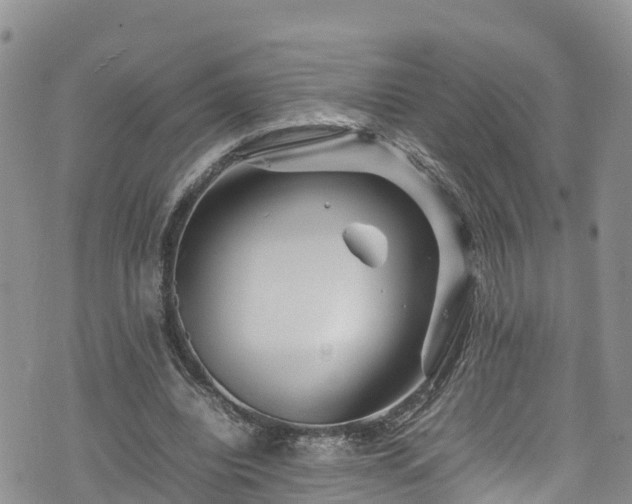 X0000074290440200609011411