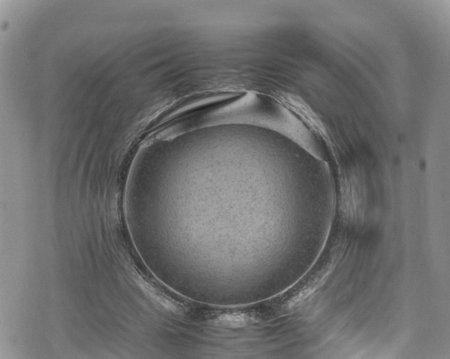 X0000074290441200609011411