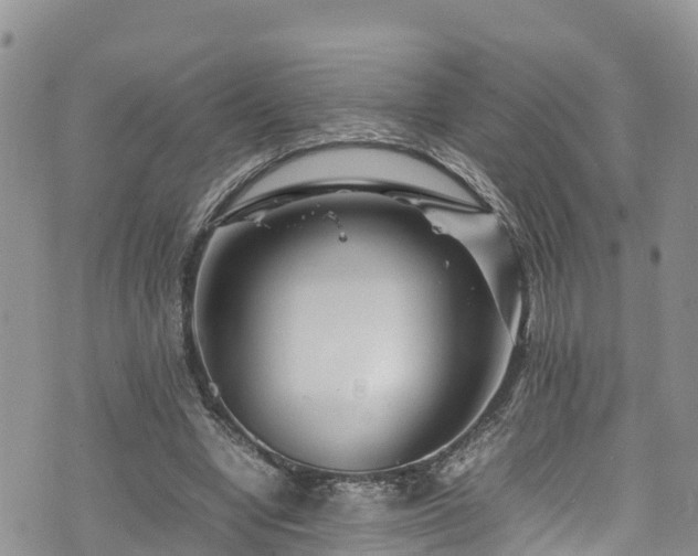 X0000074290442200609011411