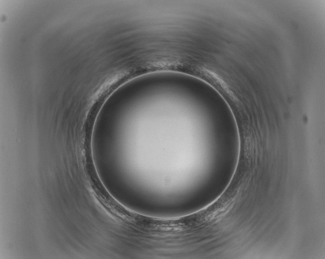 X0000074290443200609011411