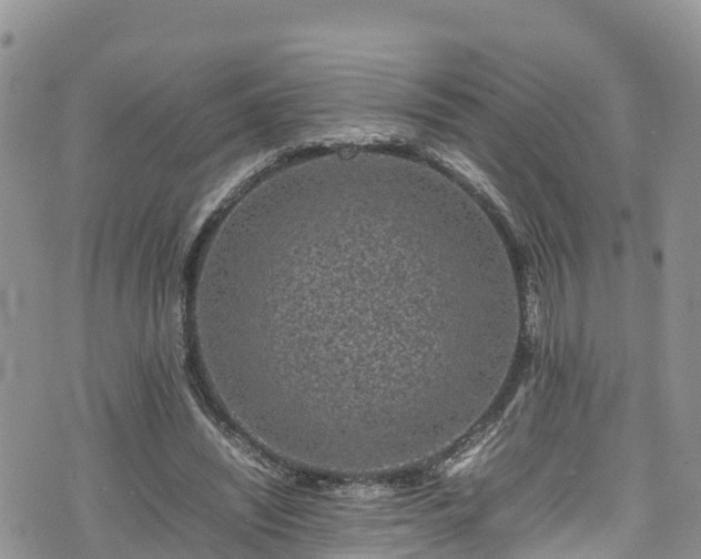 X0000074290444200609011411