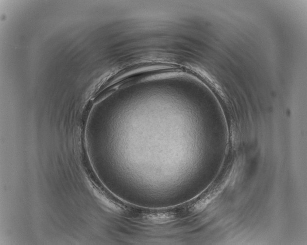 X0000074290445200609011411