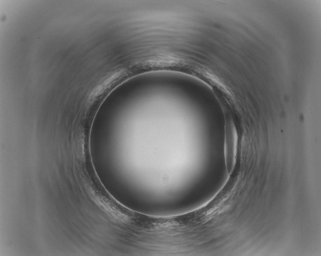 X0000074290446200609011411