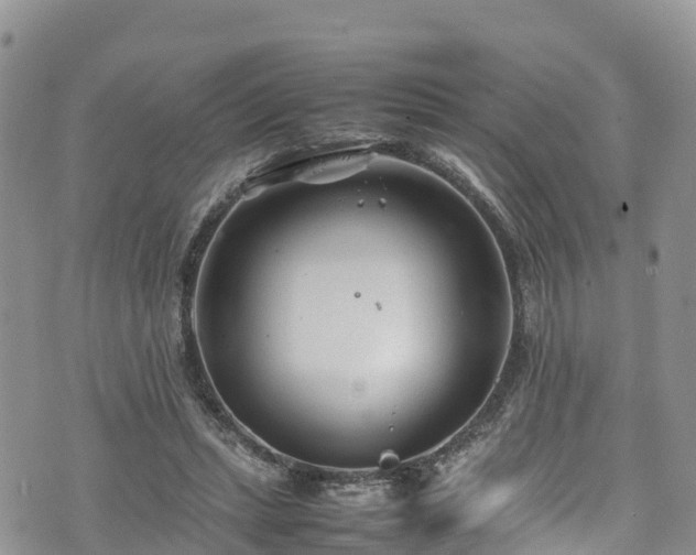 X0000074290447200609011411