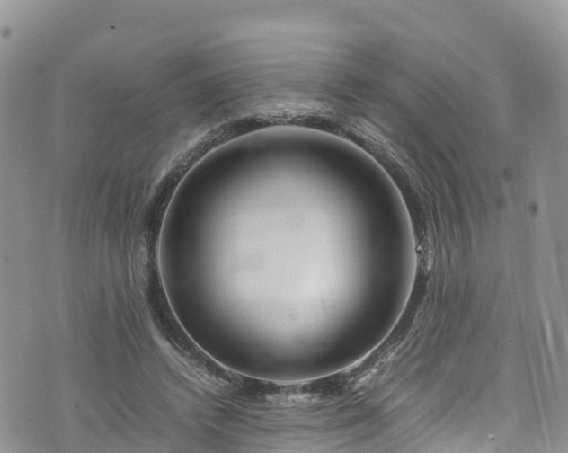 X0000074290448200609011411