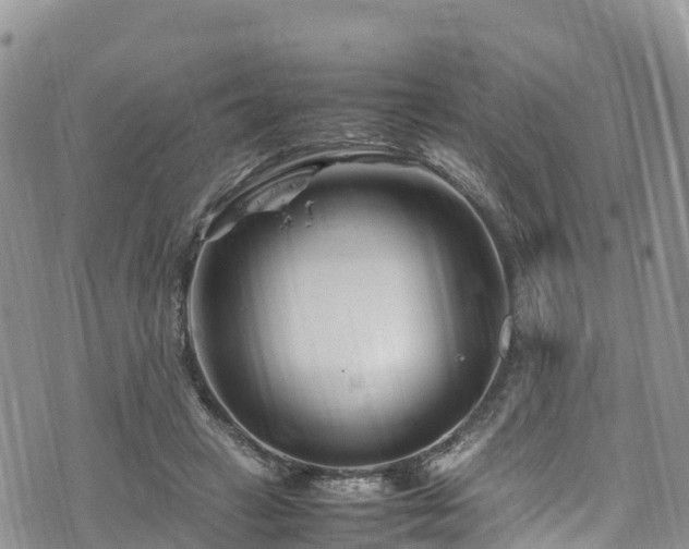 X0000074290449200609011411