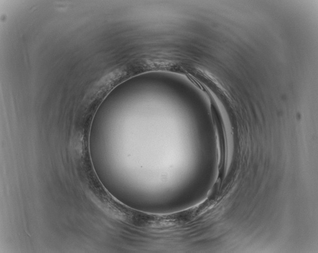 X0000074290451200609011411