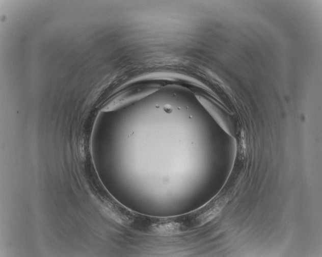 X0000074290452200609011411