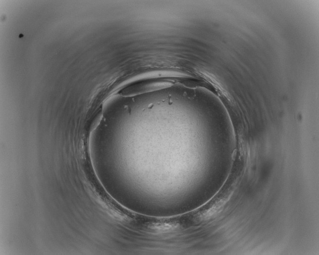 X0000074290453200609011411