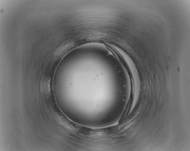 X0000074290454200609011411