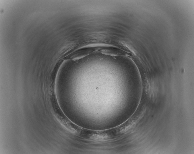 X0000074290455200609011411