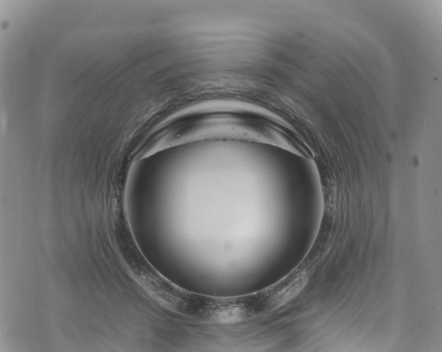 X0000074290456200609011411