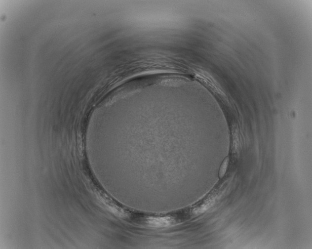 X0000074290457200609011411