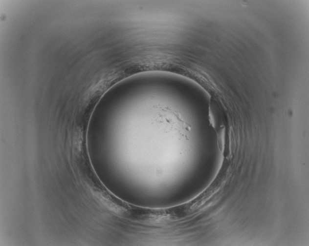 X0000074290458200609011411