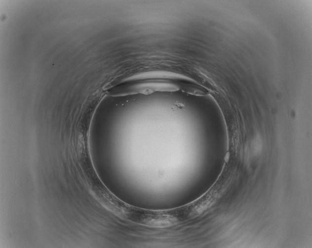 X0000074290459200609011411