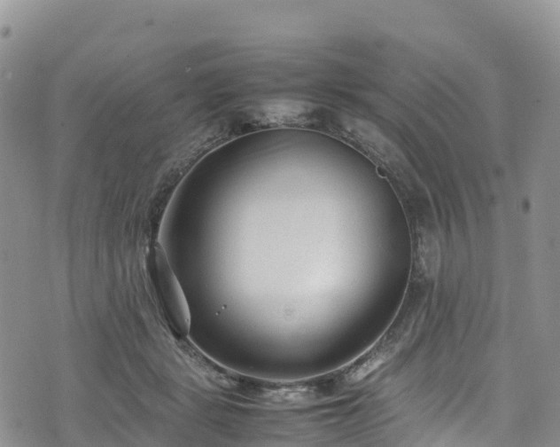 X0000074290461200609011411