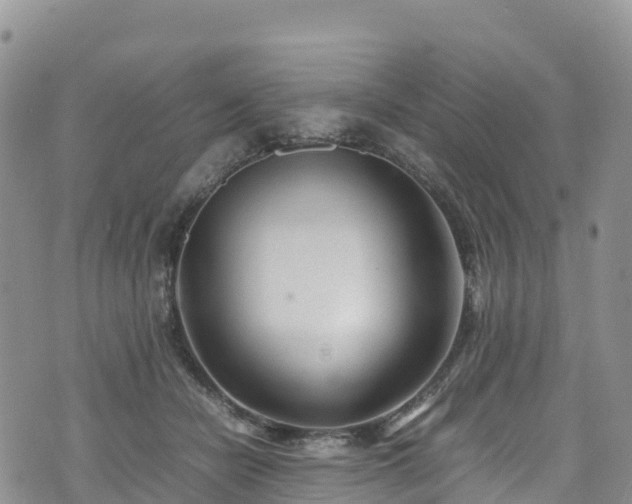 X0000074290462200609011411