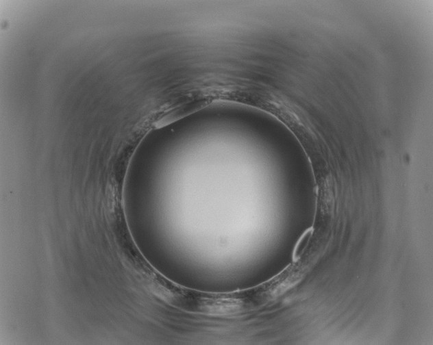 X0000074290463200609011411