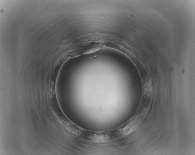 X0000074290464200609011411