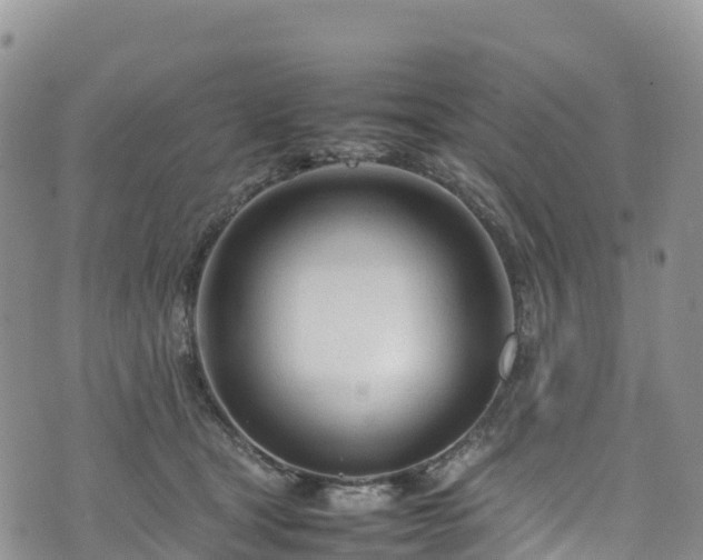 X0000074290465200609011411