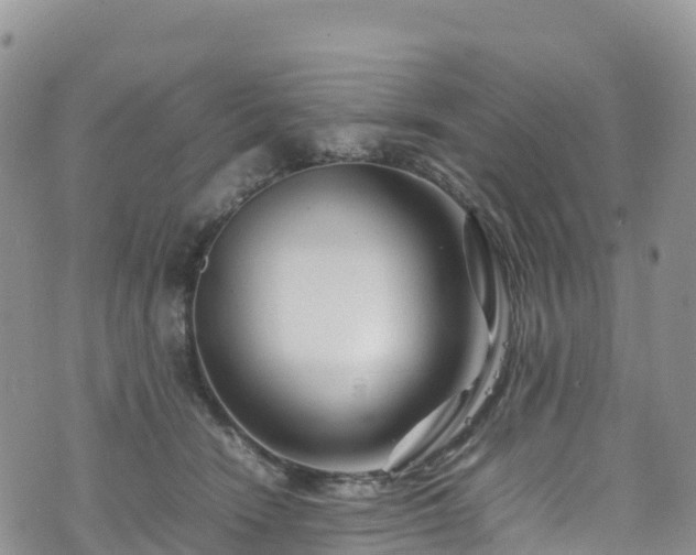 X0000074290466200609011411