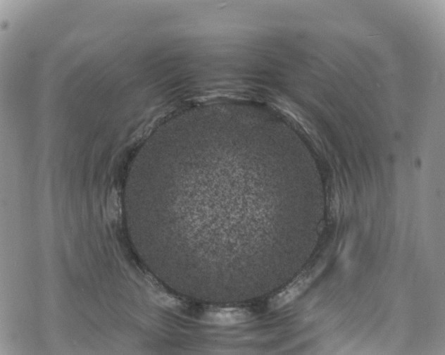 X0000074290467200609011411