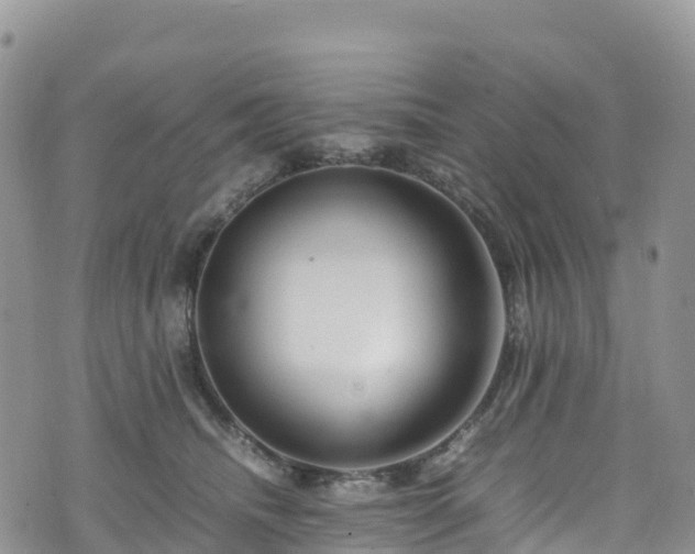 X0000074290468200609011411