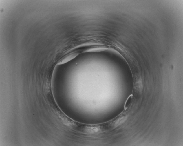 X0000074290469200609011411