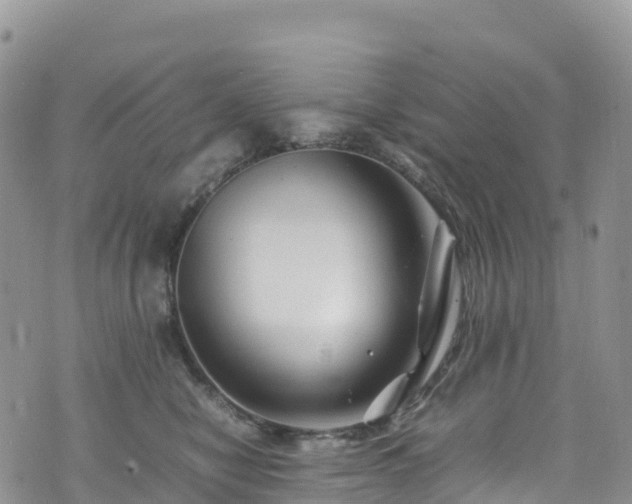 X0000074290470200609011411