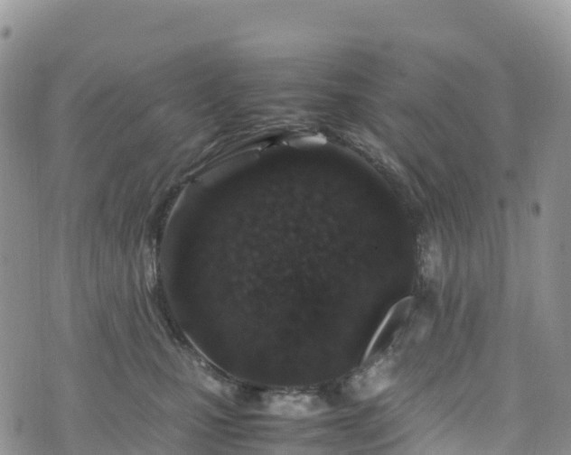 X0000074290471200609011411