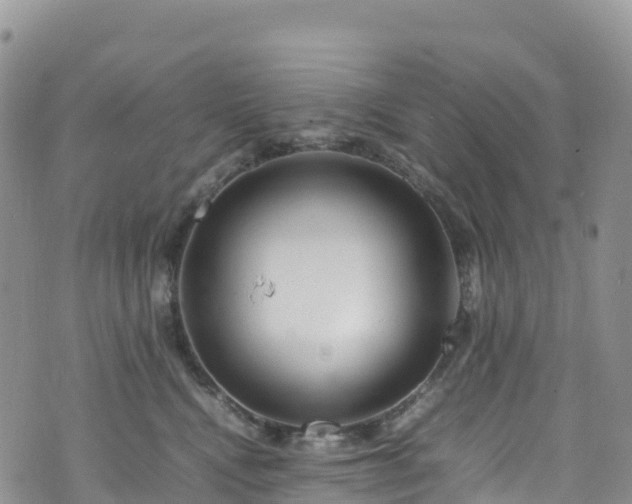 X0000074290472200609011411