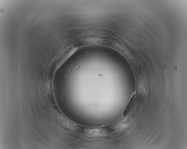 X0000074290473200609011411