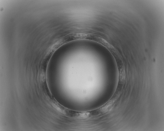 X0000074290474200609011411