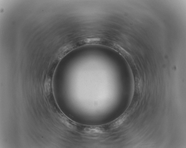 X0000074290475200609011411