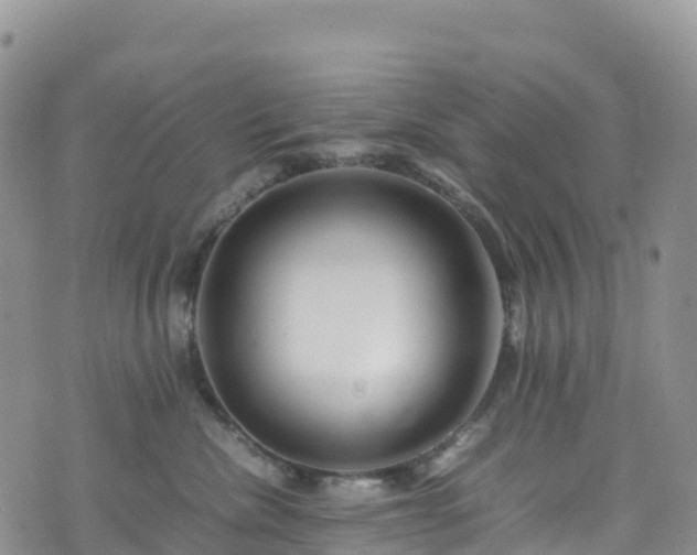 X0000074290476200609011411