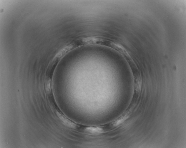 X0000074290477200609011411