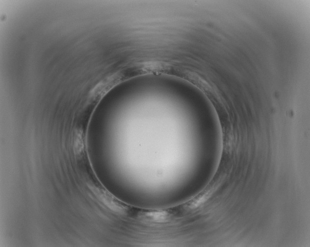 X0000074290478200609011411