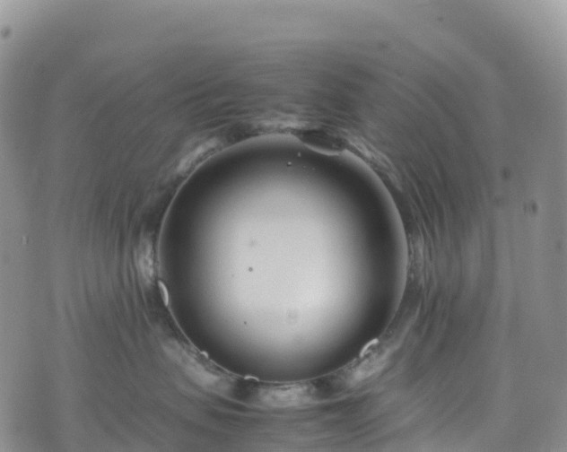 X0000074290479200609011412