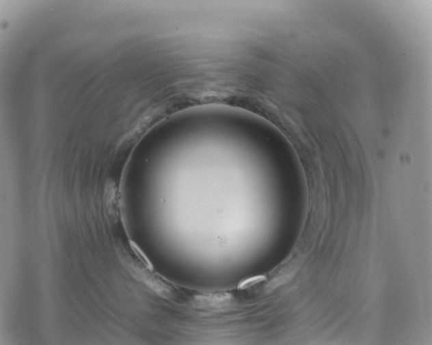 X0000074290480200609011412