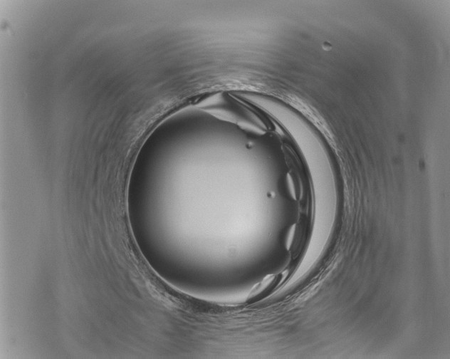 X0000074290481200609011411