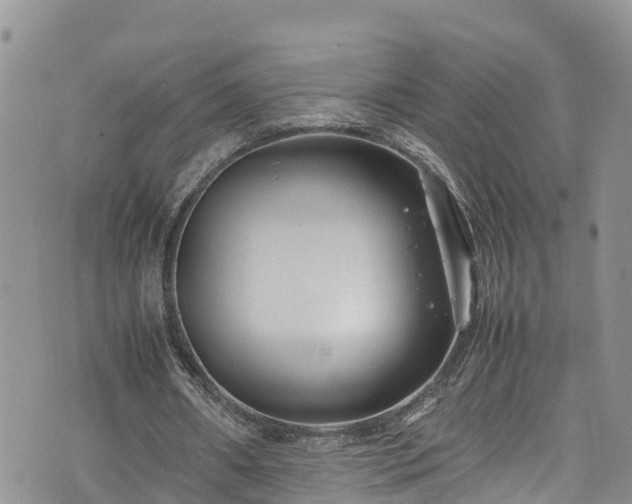 X0000074290482200609011411